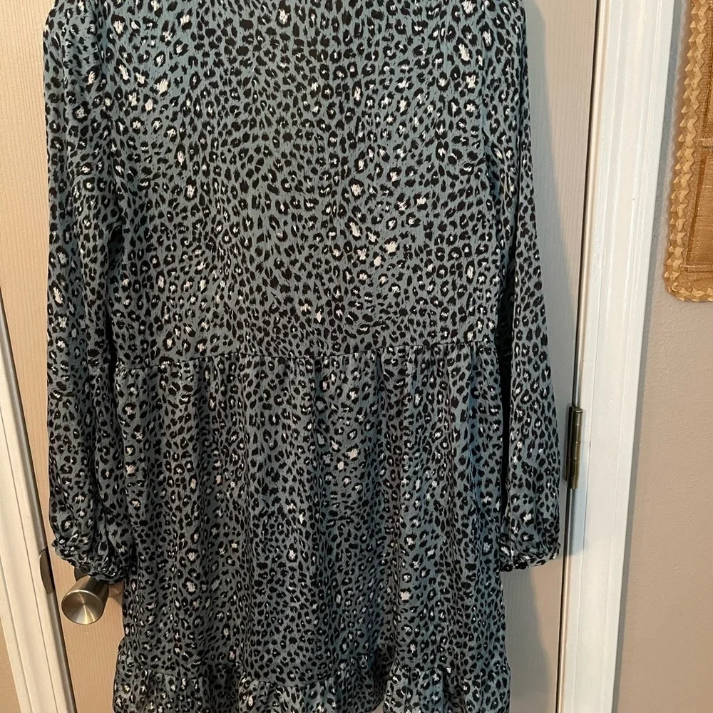 Zara Long Sleeve Animal Print Ruffle Mini Dress